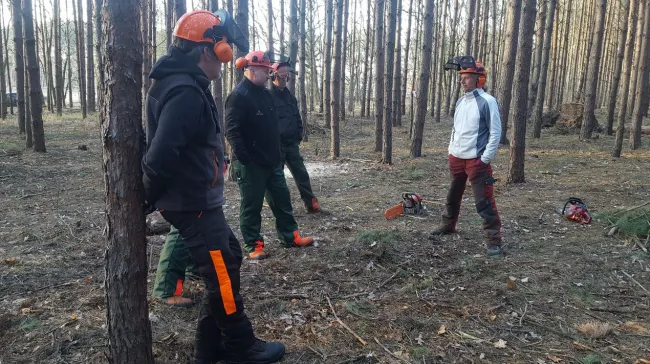 Waldarbeiter mit Schutzausrüstung