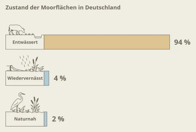 Zustand der Moorflächen in Deutschland