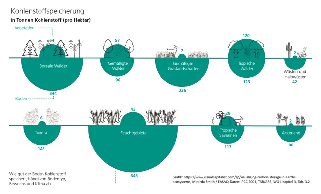 Infografik zur Kohlenstoffspeicherung in Böden