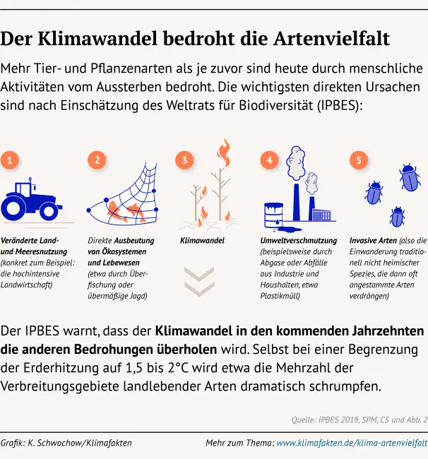 infografik klimawandel+artenvielfalt