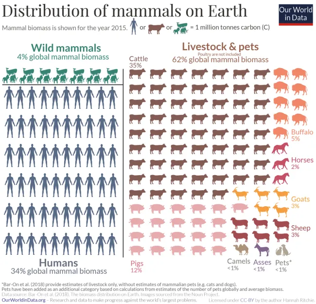 Infografik zur Menge der Biomasse von Säugetieren auf der Erde
