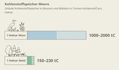 Kohlenstoffspeicher Moore