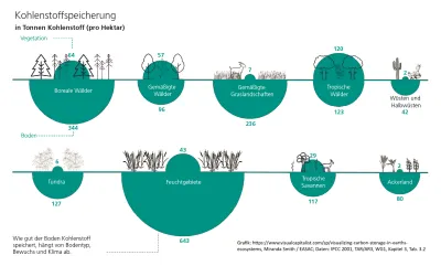 Infografik zur Kohlenstoffspeicherung in Böden