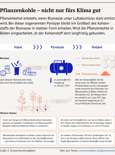 Infografik Was nützt ... Pflanzenkohle 928